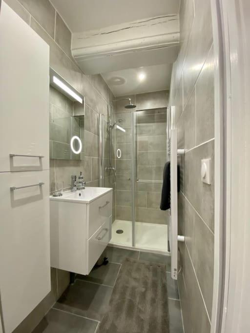 Apartment T2 Plein Centre De Sur Seine